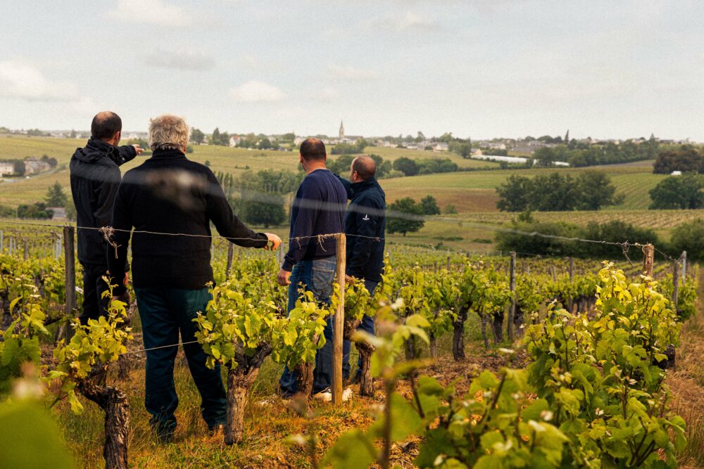 La tribu Dumnacus Vignerons