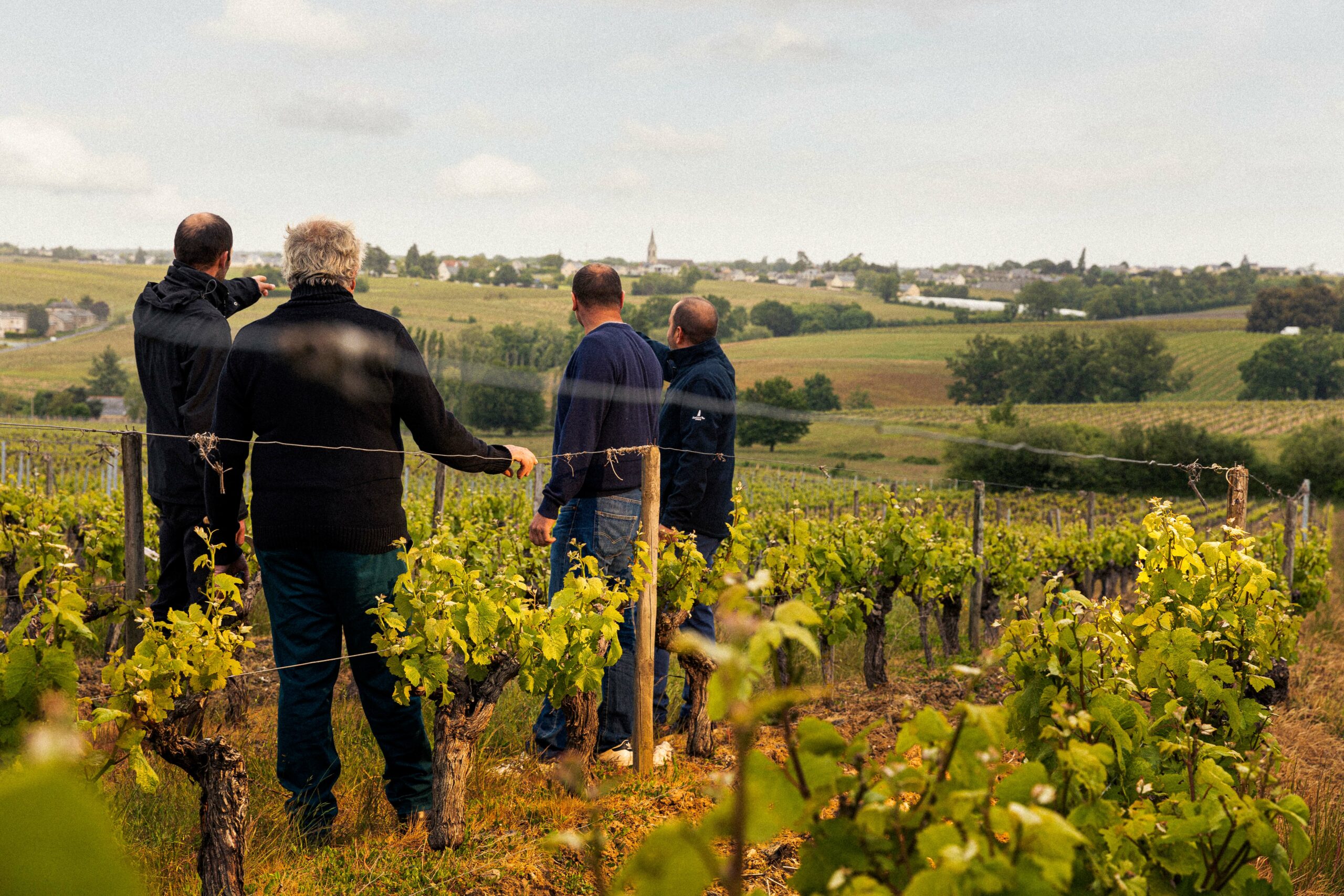 La tribu Dumnacus Vignerons