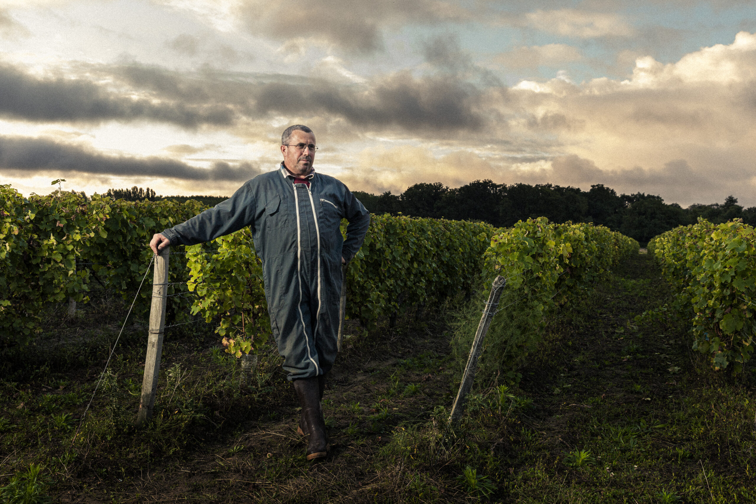 Dumnacus Vignerons en Touraine